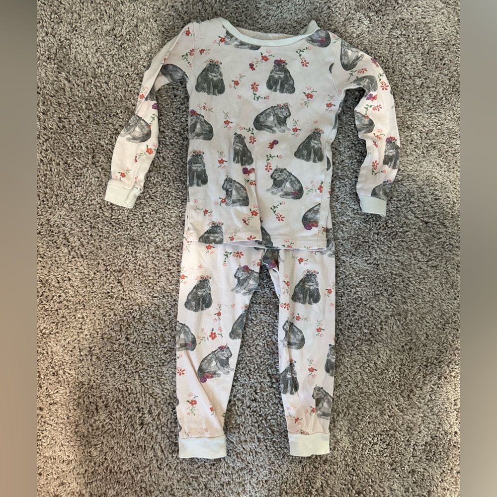 Burt’s Bees 2 piece Pajamas-Hippo-3T